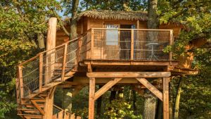 Wellness Treehouse + Srub na vodě