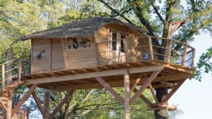 Treehouse Křemílek